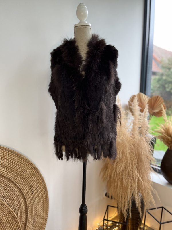 Gilet lapin et raton laveur